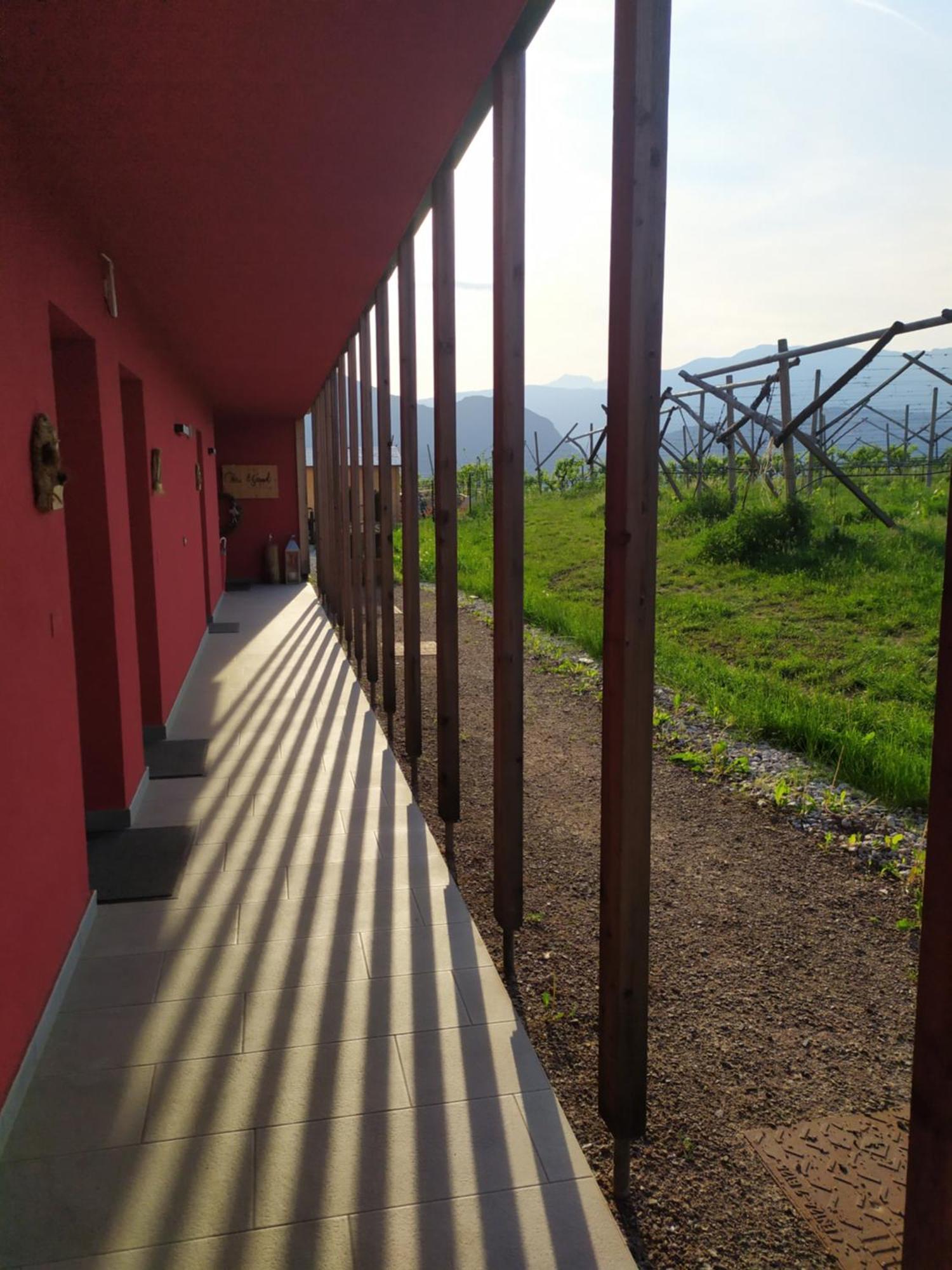 8 Grappoli Agritur Villa Trento Bagian luar foto