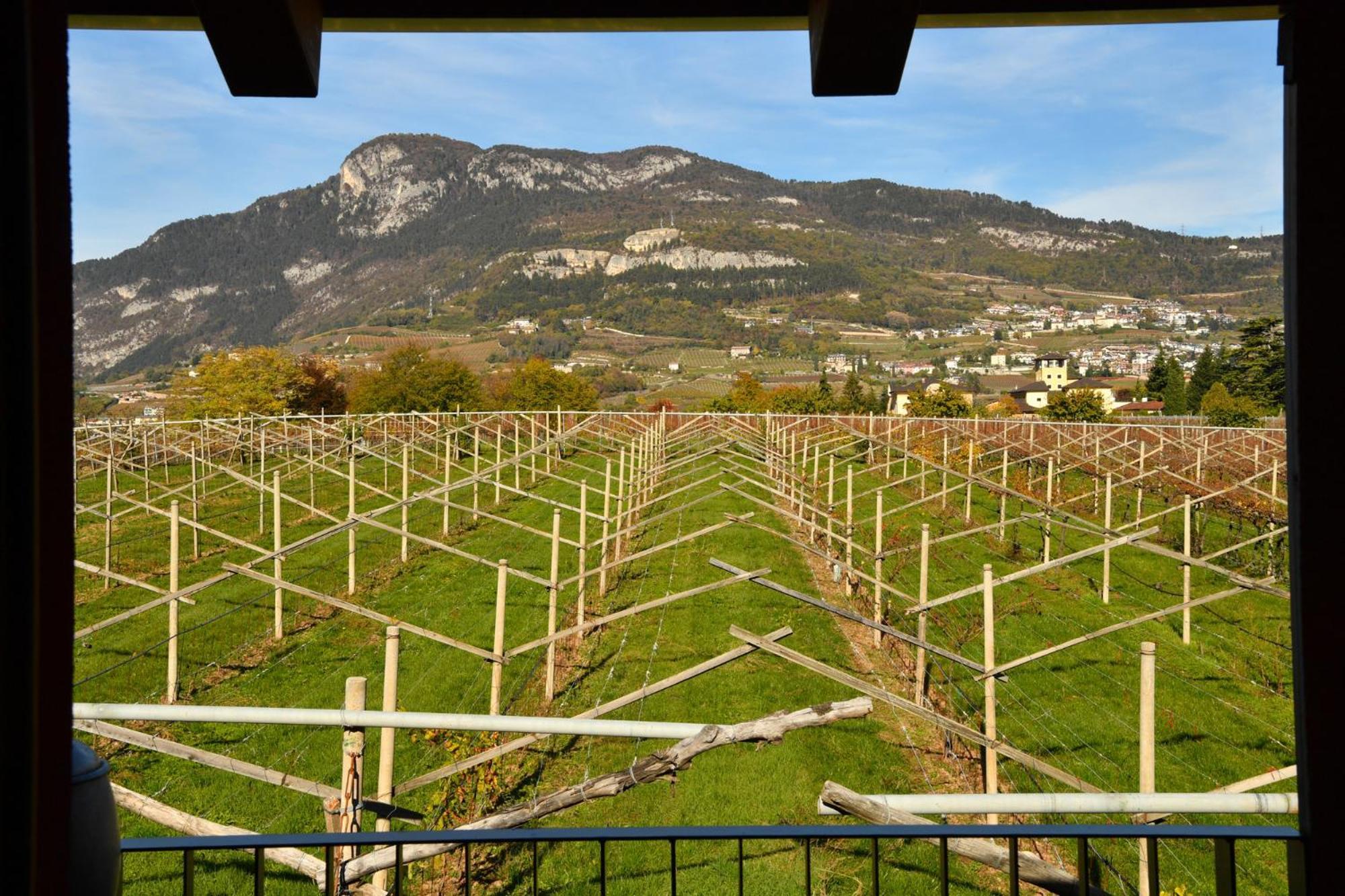 8 Grappoli Agritur Villa Trento Bagian luar foto