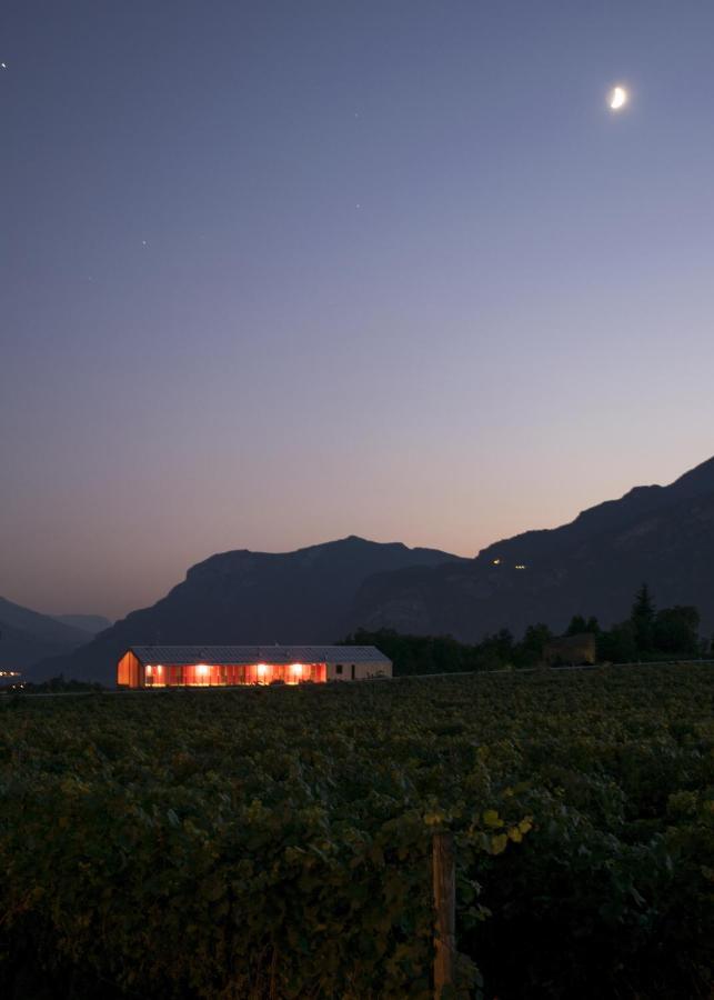8 Grappoli Agritur Villa Trento Bagian luar foto